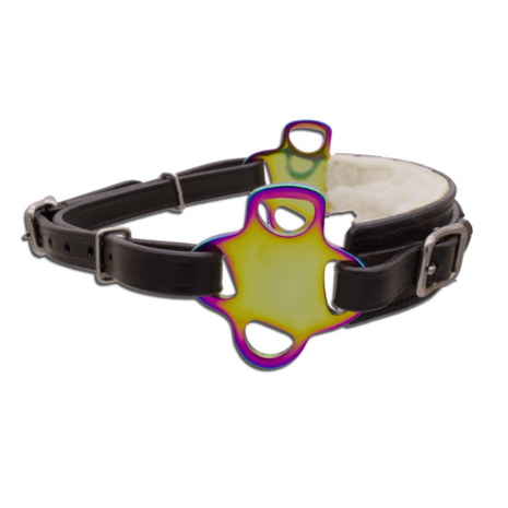 Hackamore Glucksstern Rainbow