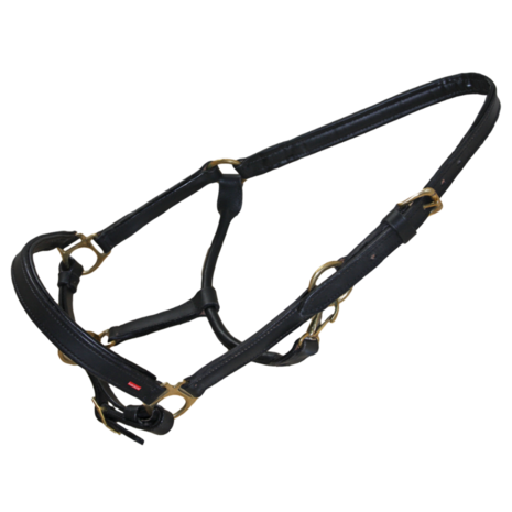 Karlslund Lederen Halster