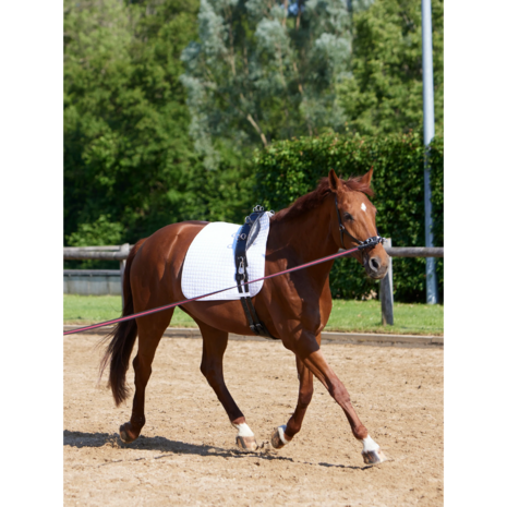 Kieffer Equishape Pro&reg; Leren Longeersingel &ndash; Black/Chrome