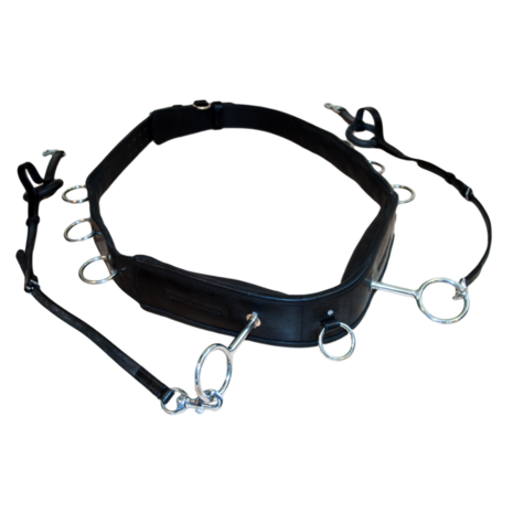 Karlslund Longeersingel Deluxe Leer