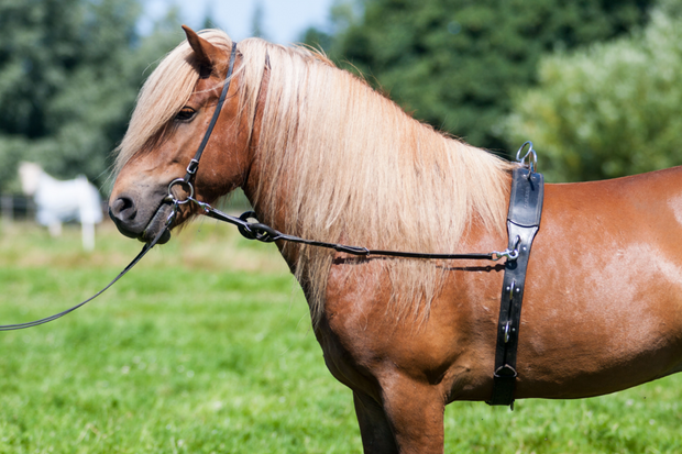 Karlslund Longeersingel Deluxe Leer