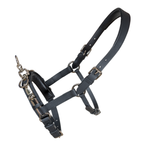 Karlslund Fengur Kaptoom