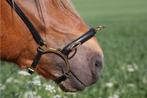 Karlslund Kaptoom met Beugel &amp; 3 Ringen