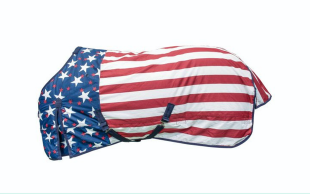 Pro-Tech Outdoor Waterproof USA Flag Rug &ndash; Niagara Model