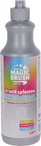 Magic Brush Shampoo Fruit Explosion
