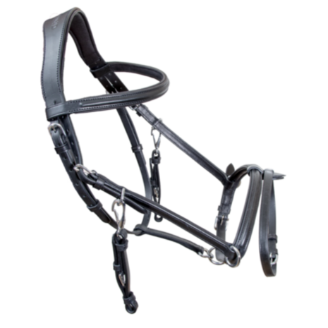 Karlslund Riding Halter &ndash;  hoofdstel &amp; halster in &eacute;&eacute;n