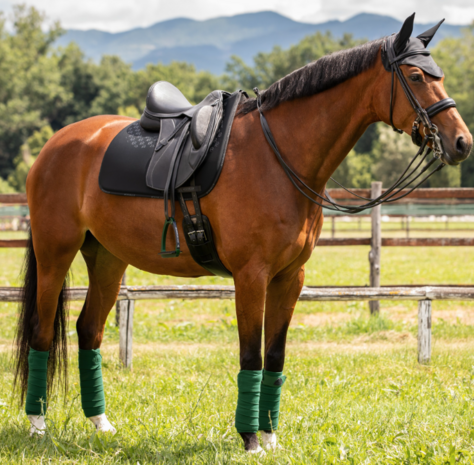 OP = OP &ndash; Acavallo zadeldek dressuur Lycra &amp; Bamboo Silicone Grip