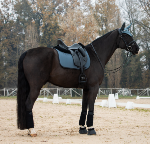 OP = OP &ndash; Acavallo zadeldek dressuur Lycra &amp; Bamboo Silicone Grip