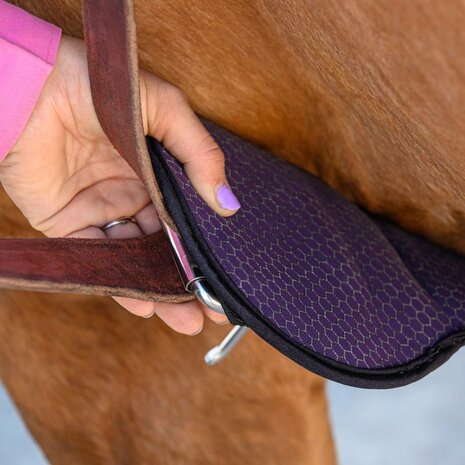 Professional&rsquo;s Choice 2XCool Cinch