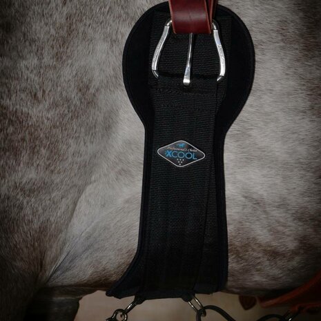 Professional&rsquo;s Choice 2XCool Cinch