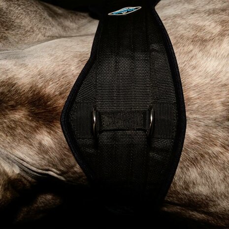 Professional&rsquo;s Choice 2XCool Cinch