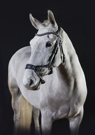 GFS Premier Alpine Hoofdstel Anatomisch