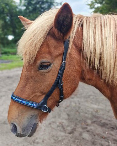 T&ouml;lt Saga Bitloos Sidepull Hoofdstel &ndash; Comfortabel, Vriendelijk &amp; Anatomisch