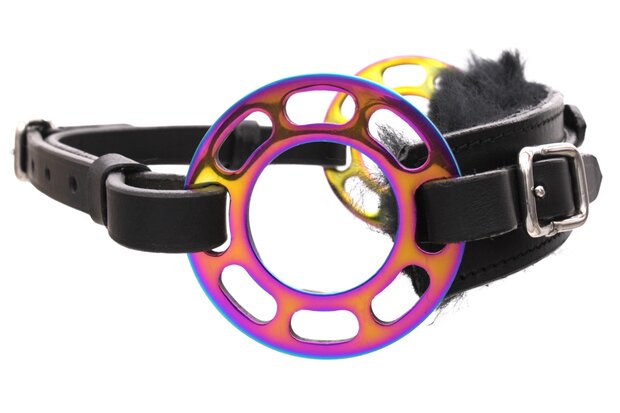 Hackamore Glucksrad Rainbow