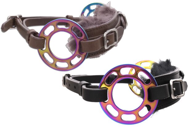 Hackamore Glucksrad Rainbow