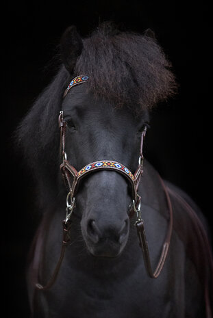 Bitloos Sidepull Hoofdstel Kifra Beaded Arizona