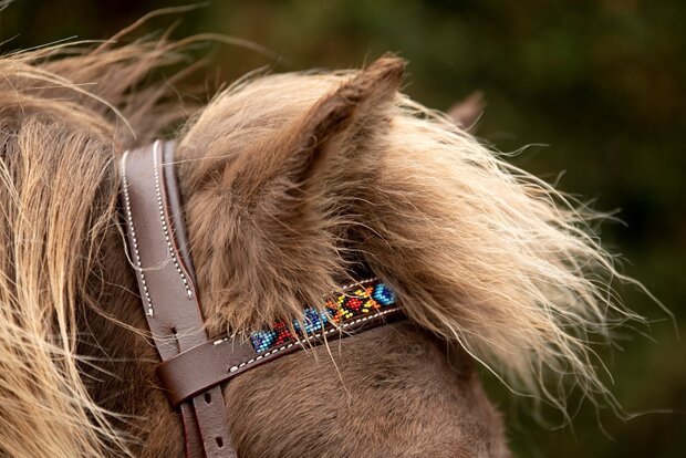 Bitloos Sidepull Hoofdstel Kifra Beaded Arizona