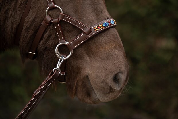 Bitloos Sidepull Hoofdstel Kifra Beaded Arizona