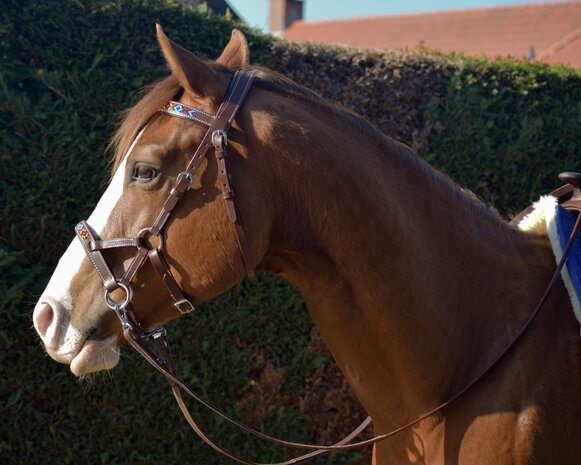 Bitloos Sidepull Hoofdstel Kifra Beaded Arizona