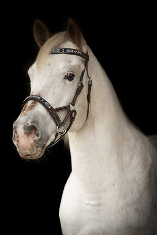 Bitloos Sidepull Hoofdstel Kifra Beaded Sedona