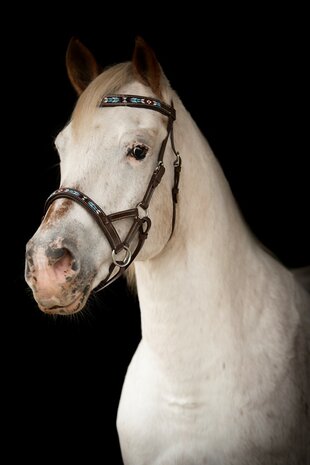 Bitloos Sidepull Hoofdstel Kifra Beaded Sedona