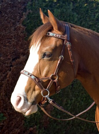 Bitloos Sidepull Hoofdstel Kifra Beaded Sedona