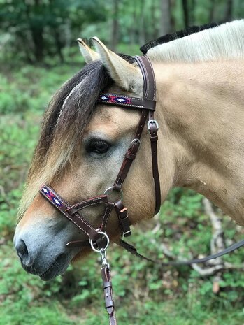 Bitloos Sidepull Hoofdstel Kifra Beaded Payson