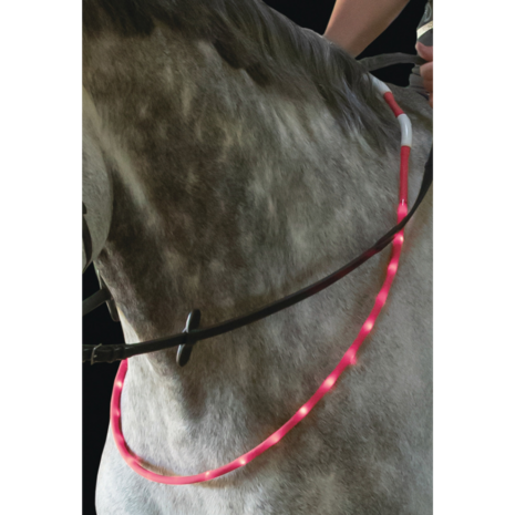 LED Halsring voor Paard &ndash; Oplaadbaar