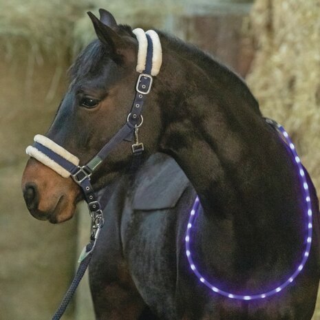 LED Halsring voor Paard &ndash; Oplaadbaar