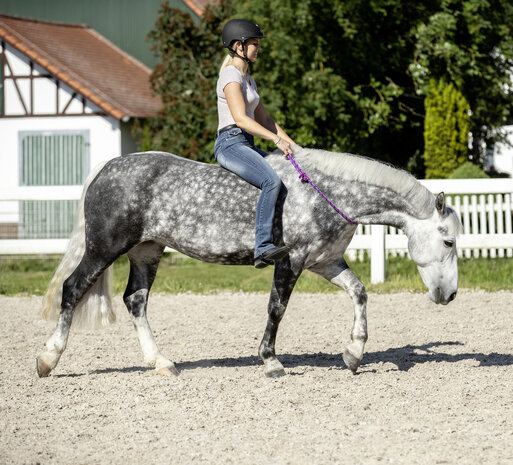 Verstelbare Halsring voor Paard en Pony