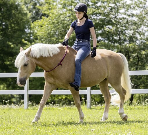 Verstelbare Halsring voor Paard en Pony