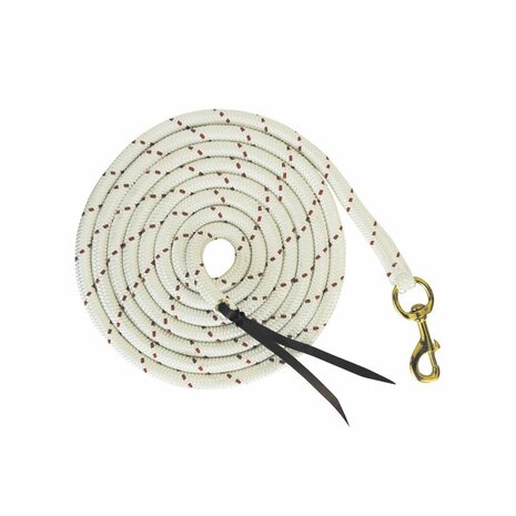 Leadrope van Stevig Materiaal met Musketonhaak 4,25 m