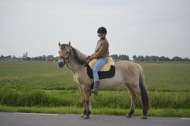 Lamswollen Barebackpad Ibero Zwart - Support en Close Contact