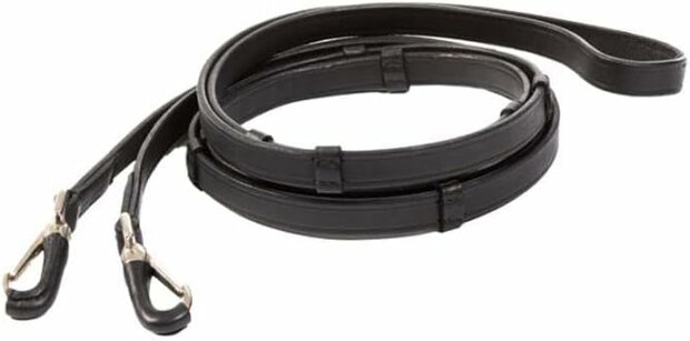 Lederen teugel Island op = op