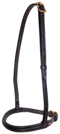 Karlslund Iceland Engelse Neusriem