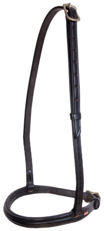 Karlslund Iceland Engelse Neusriem