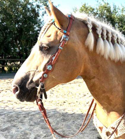 Two Ear show westernhoofdstel chestnut/ turquoise