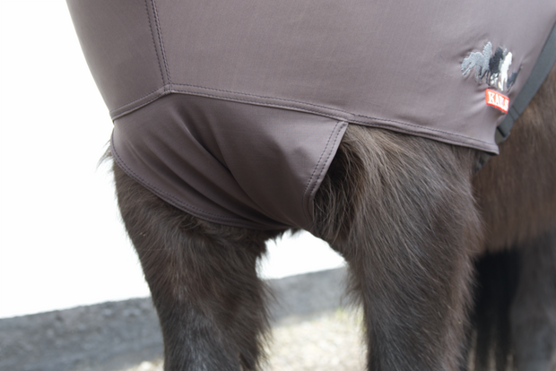 Karlslund eczeemdeken flexibel &ndash; elastische eczeemdeken voor IJslandse paarden