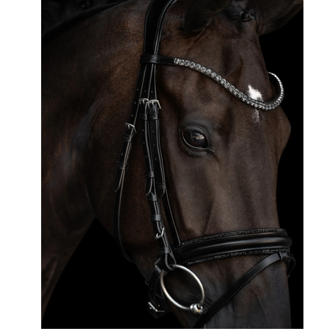 Kieffer Hoofdstel Grace