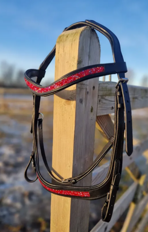 Tolt Saga Hoofdstel Lif Anatomisch Rood