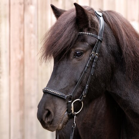 IJslander hoofdstel Freya Black on Black