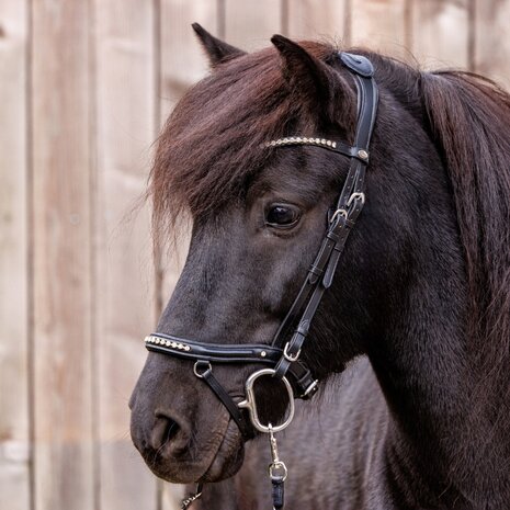 IJslander hoofdstel Jorunn Black Silver