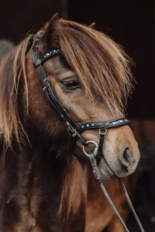 Tolt Saga Hoofdstel Anatomisch Sk&oacute;gar