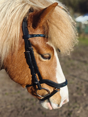 Kifra Icelandic Hoofdstel Deep Blue