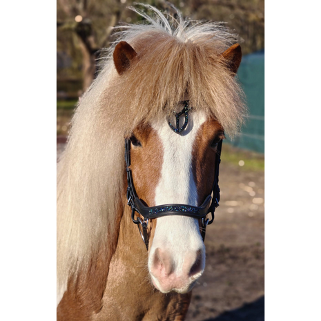 Kifra Icelandic Hoofdstel Deep Blue