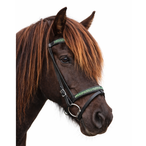 Tolt Saga Gasir - IJslander Hoofdstel Zwart Leder &ndash; Groene Kristal Inlay