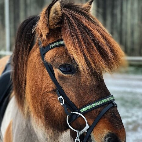 Tolt Saga Gasir - IJslander Hoofdstel Zwart Leder &ndash; Groene Kristal Inlay