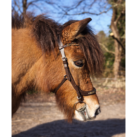 Kifra Anatomic Brown &ndash; Anatomisch Hoofdstel met Bruine Kristallen OP = OP