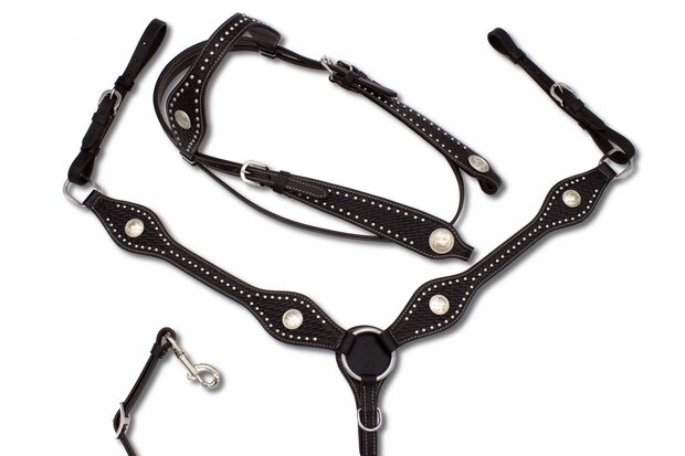 Westernset Zwart &ndash; Hoefijzer-concho&rsquo;s met Strass en Glitters