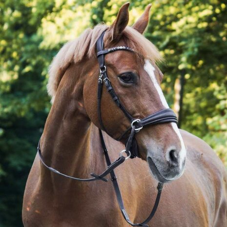 Kavalkade Cross Light &ndash; Luxe Kaakgekruist Bitloos Hoofdstel van Geolied Leer